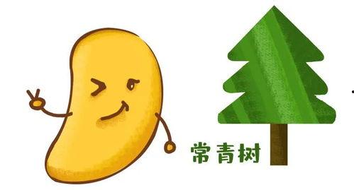吃瓜热门音乐,热门音乐中的吃瓜时光