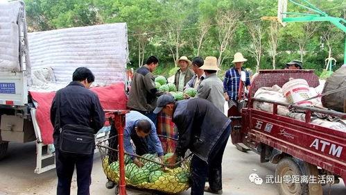 息县吃瓜群众爆料最新,吃瓜群众热议不断！