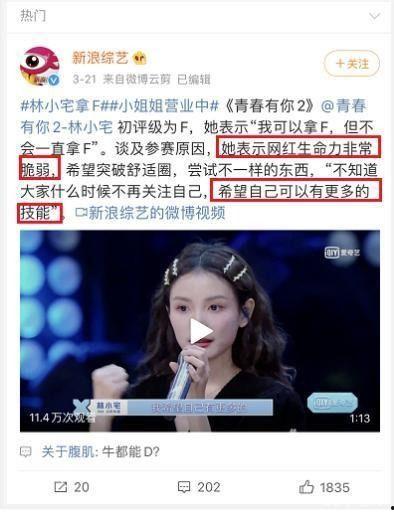 明星网红直播女,明星网红引领潮流新风尚