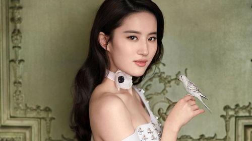 女孩冒充明星网红,揭秘女孩冒充明星网红的惊人真相