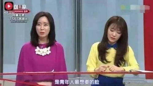 明星网红评论兼职,揭秘网红经济背后的机遇与挑战