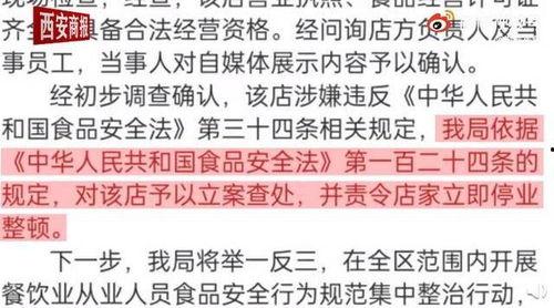 爆料吃瓜真人视频大全,吃瓜真人视频大全幕后故事大揭秘