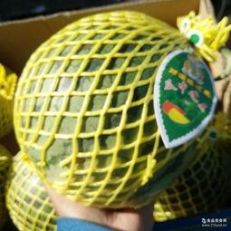 小凤瓜今日行情,今日价格走势解析”