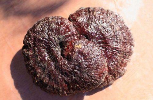 流产后吃黑瓜好吗会胖吗,健康益处与体重影响解析