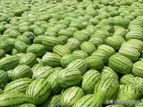 51热门大瓜爆料,揭秘娱乐圈最新热点事件