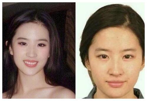 明星网红真实差距,揭秘光鲜背后的真相