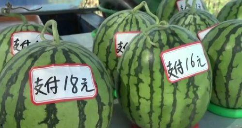 湖北最新吃瓜爆料新闻