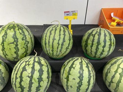 今日海南麒麟瓜