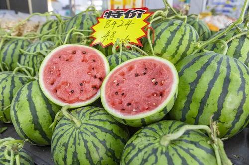 今日海南麒麟瓜
