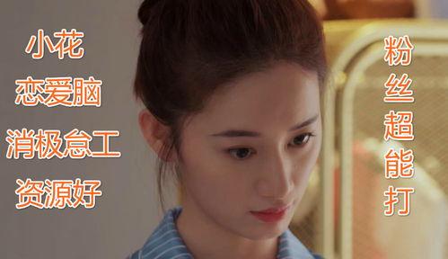 如何评价明星网红,多维视角下的影响力解析