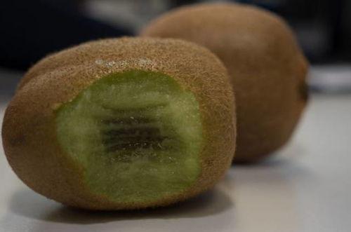 吃花皮吊瓜为什么舌头黑,揭秘吃花皮吊瓜导致舌头变黑之谜