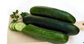 吃花皮吊瓜为什么舌头黑,揭秘吃花皮吊瓜导致舌头变黑之谜