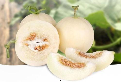 白玉瓜今日行情,今日价格走势解析