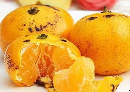 小孩吃黑蜜瓜好吗视频教程