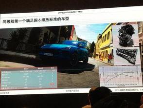 爆料911吃瓜网页版,网页版爆料背后的真相与热议