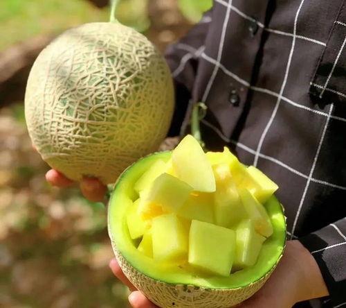 今日超级大瓜,揭秘娱乐圈惊天秘密！