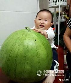 今日超级大瓜,揭秘娱乐圈惊天秘密！