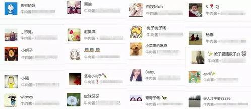 免费爆料吃瓜群2023,揭秘娱乐圈最新热点事件