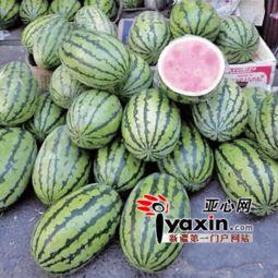 今日乌鲁木齐的瓜