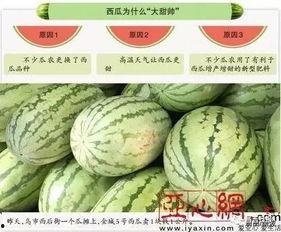 今日乌鲁木齐的瓜