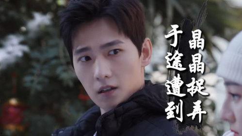 明星网红即兴评述,展现魅力与智慧的风采