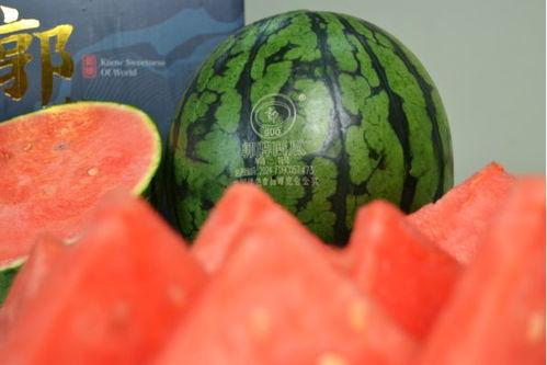 今日瓜价潍坊,瓜价波动，新鲜资讯速递