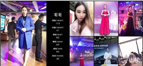 明星网红被盗窃,财产损失引关注