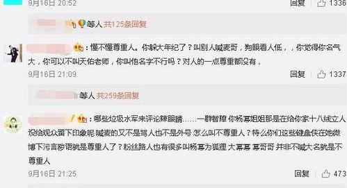 流量明星网红工资,揭秘高薪背后的数字游戏