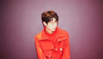 少年感明星网红,揭秘少年感明星网红的时尚影响力”